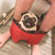 дизайнер крови