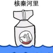 老鼠打不过耗子