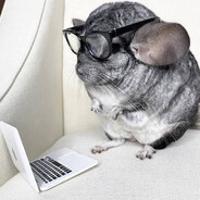 CuriousChinchilla265