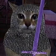 耗子今天玩什么