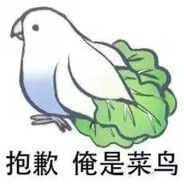 DLMEF_老陆