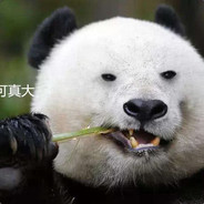 么得感情的分奴