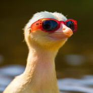 xDucky213