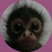 Leyzzy - steam id 76561199071779801