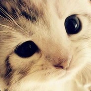 当兵是不可能当兵的