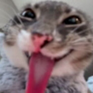 flaxe13