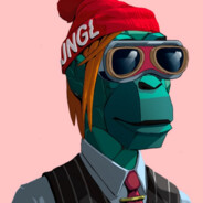 zniT - steam id 76561198114778065