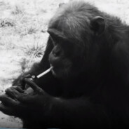 卖核弹的小火柴