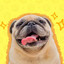 Gerald