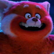 给你一个脑兜子