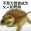 川岛亚美OvO