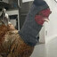 GalutMen