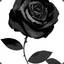 BlackRose