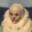 Сlowns are laughing at you