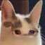 Spritee's avatar