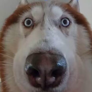 收银太多失去陈伯