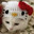 alluka Steam avatar