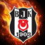 arasbjk3772