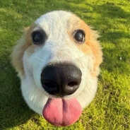 чебуречок67