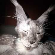 саня чекушка