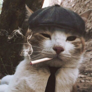 Котито гангстер