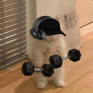 Gato Musculoso Pium Pium