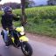 iPING