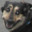 Balto
