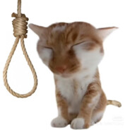 格瓦斯嘎嘎好喝