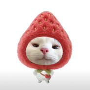 我吃饭的时候不饿