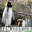 pinguingod