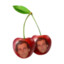 Cherry Baudet