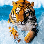 Tigrutzu - steam id 76561198013526165