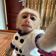 monkey??? - steam id 76561199801430324