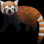 Red Panda? I hardly know er!