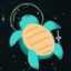 Turty