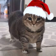 Little m⌬nS²⁻ter