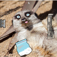 Coked up Meerkat