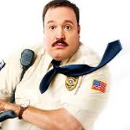 paul blart