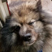 Slikker også sorte fødder - steam id 76561199067810929