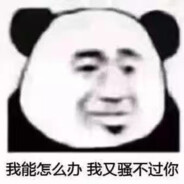 郑某从不起枪