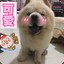 娃总厉害死了呢