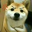 陌唯