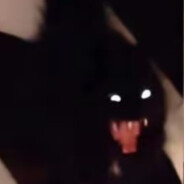 吗喽岛窜天的猴