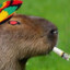 CAPIVARA MALDITA