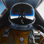 Blackbird