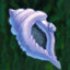 The Magic Conch