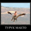 Турук Макто