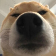 Dan Dan蛋蛋的忧伤