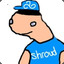 shroud